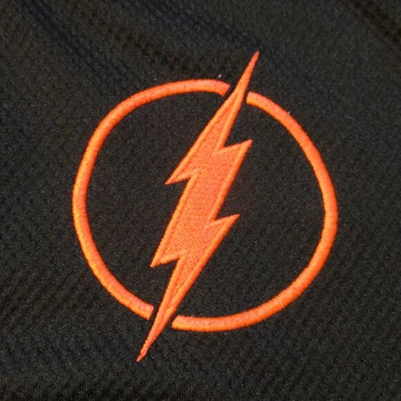THE FLASH Logo DC Comics originals hooded zip up jacket s medium Superman Batman - Picture 4 of 7